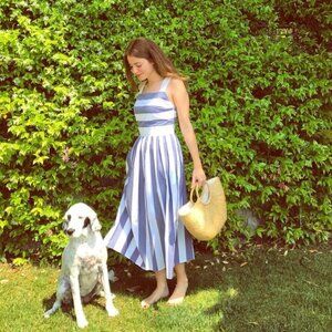 COS Cotton Fit and Flare Midi Dress Sleeveless Blue White Striped Size 10